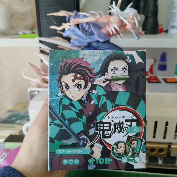DS Surpirse Pins with Cards