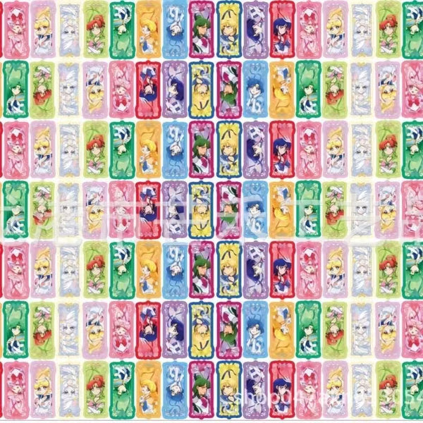Sailor Moon Acrylics C43