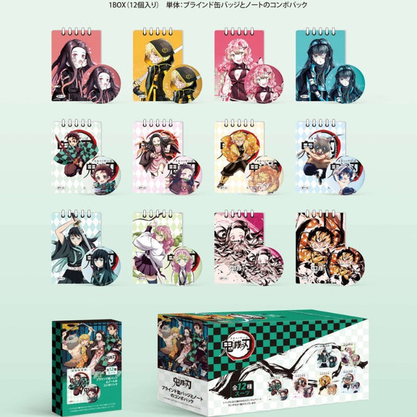 (NEW) DS Surpirse Notes With Pins